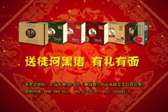 理性預期下的誤識 塞勒懲罰策略研究總結(jié)